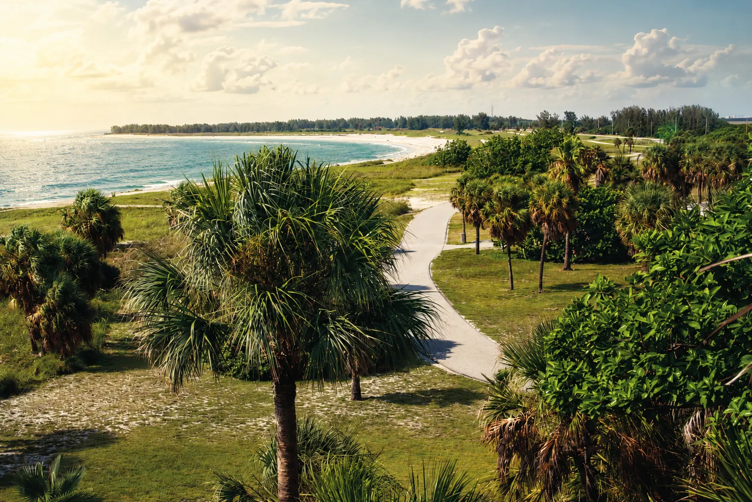 Fort De Soto Park coastline with palm trees and white sand beach